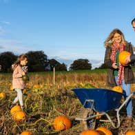 A family at a pumpkin patch