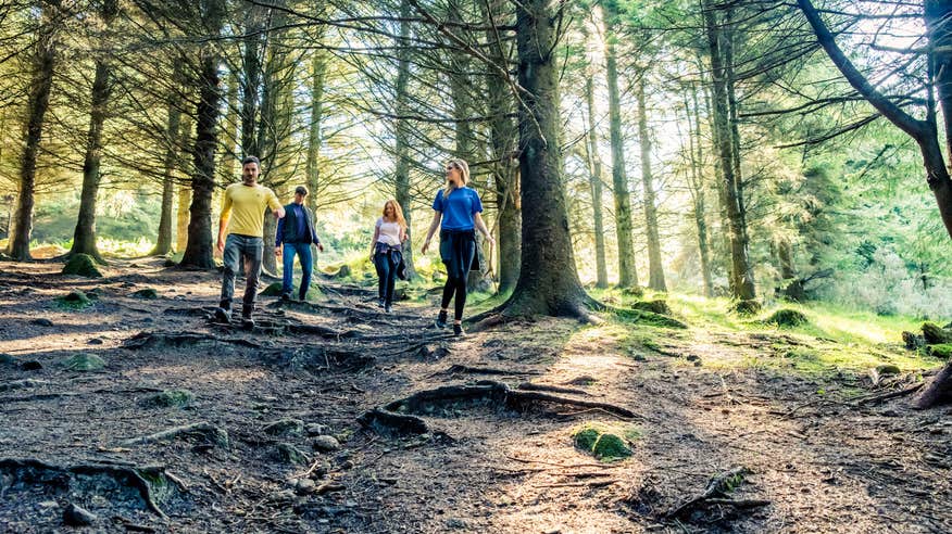Hikers in the Dublin Mountains