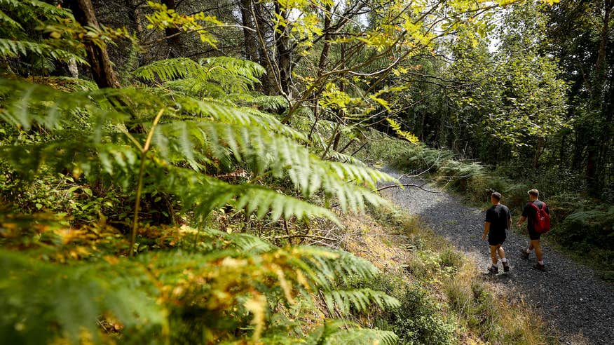 Two men hiking through the Glen of Aherlow in County Tipperary.