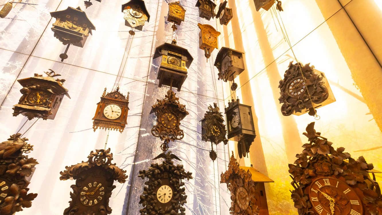A wall display of suspended assorted cuckoo clocks