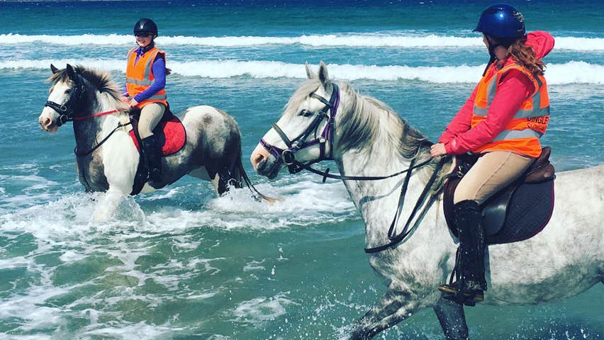 Dingle Horse Riding horses cooling down in the sea