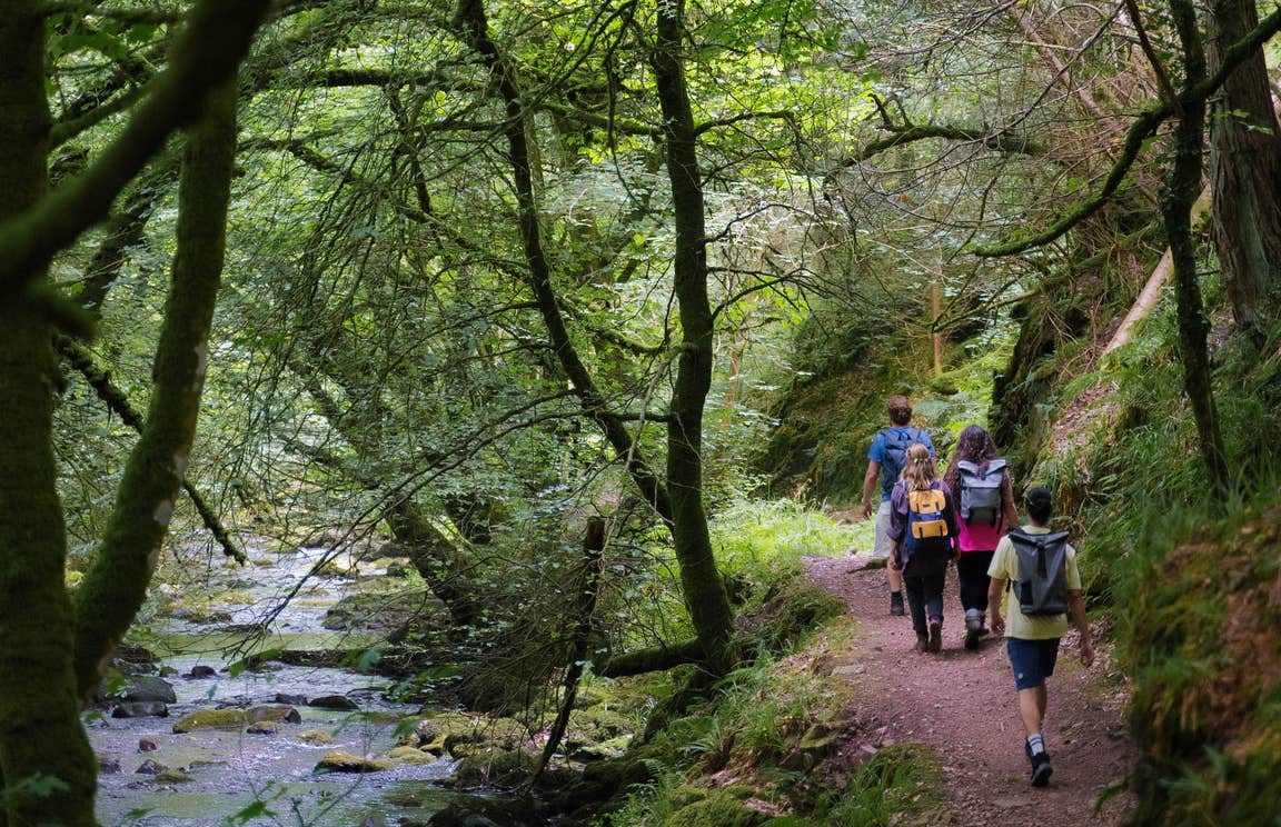 Hikers walking in Ballyhoura