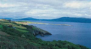 Sheep’s Head Loops