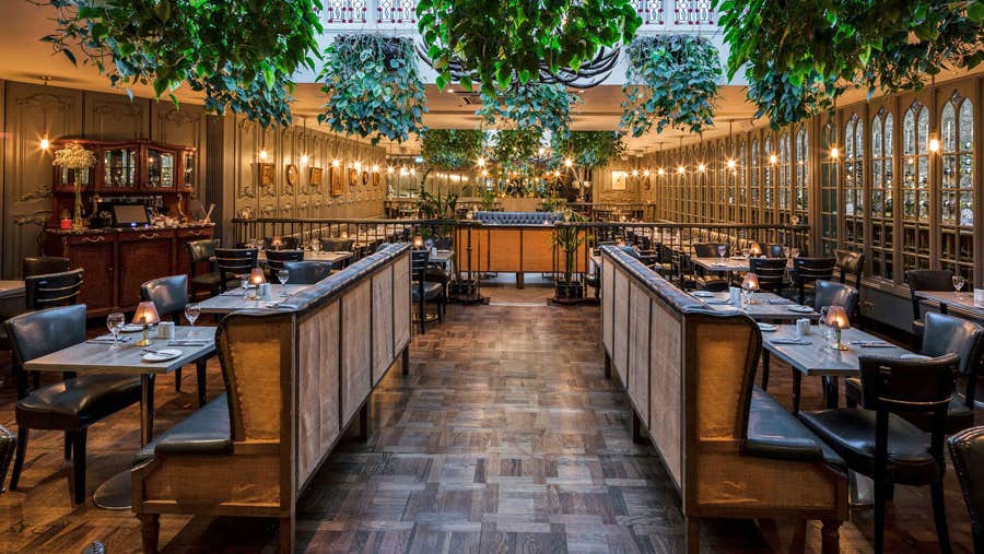The stylish garden restaurant at Langtons with green plants hanging from the glass ceiling