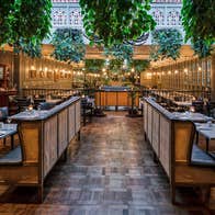 The stylish garden restaurant at Langtons with green plants hanging from the glass ceiling
