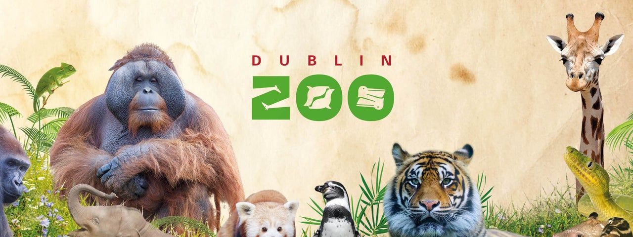 Image of animals that are in Dublin Zoo in County Dublin