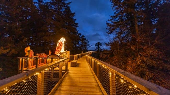 The beautifully illuminated treetop walkway with woodland creatures