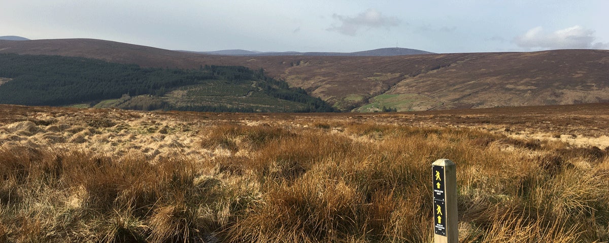 Views of hills on a walking tour with Run Walk Bike Ireland