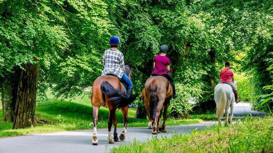 People horse riding at Mount Juliet Estate, Co Kilkenny