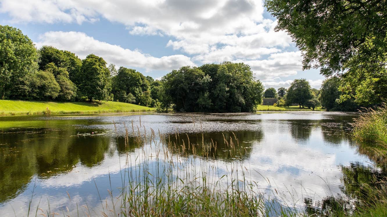 Grounds of Turlough Park, National Museum of Ireland