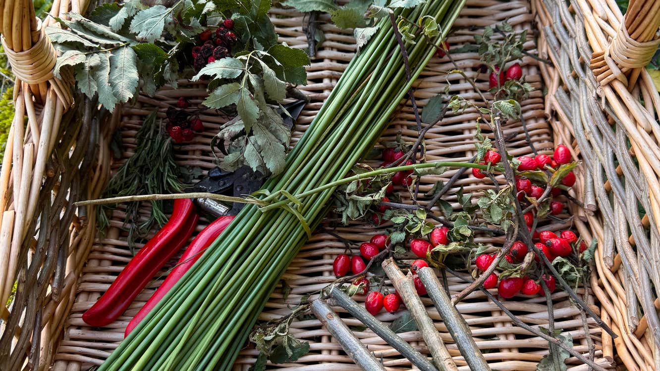 Herbs, Hexes and Halloween