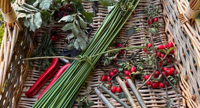Herbs, Hexes and Halloween