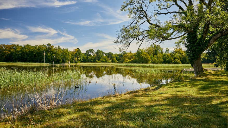 The lake at Emo Court in Co Laois