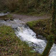 Ballycuggaran Loop Walk