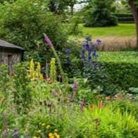Moon Garden Workshop, Turlough Park