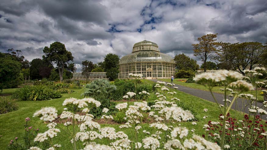 National Botanic Gardens, Dublin