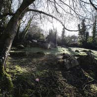 The Road to the Otherworld: Bus Tour of Lough Gur