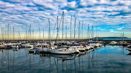 Boats docked in Dun Laoghaire Marina
