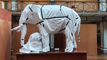 Model elephant wrapped in white paper and back tape standing on a wooden display