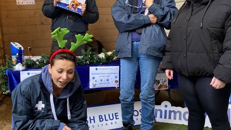 Blue Cross @Stillgarden Christmas Market