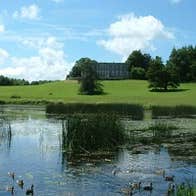 Curraghchase Forest Park