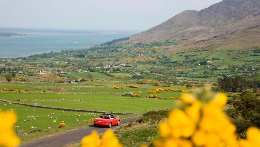 Open top car on the Louth route