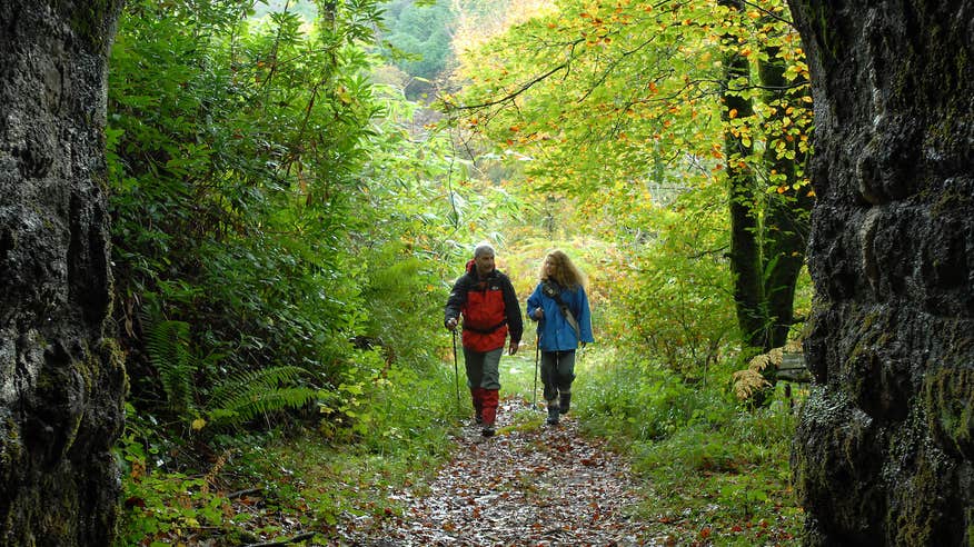 People walking on the Attychraan Loop Walk in Ballyhoura, Co Limerick