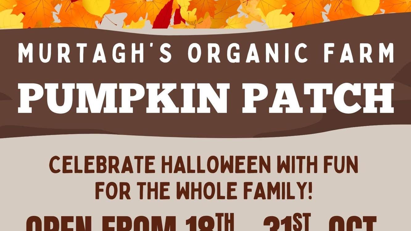 Pumpkin Patch at Murtagh's Organic Farm