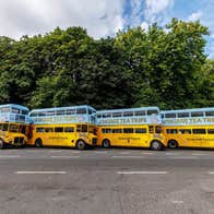 Four Vintage Tea Trips double decker buses lined up beside a tree lined road