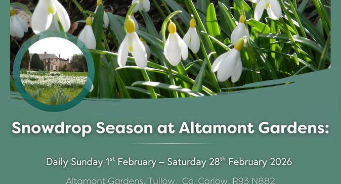 Poster for Snowdrop Season at Altamont Gardens with picture of small white flowers