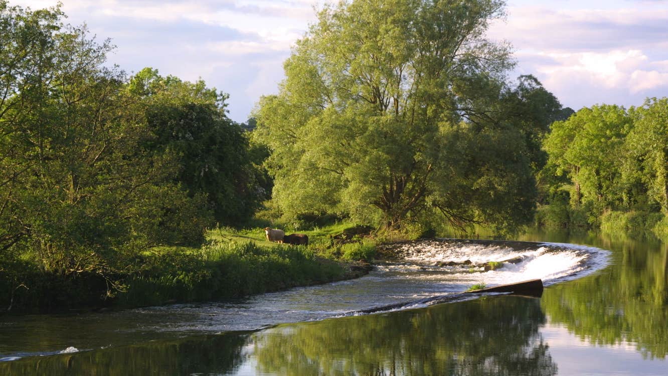 Image of Clashganny Lock along The Barrow Way in Borris in County Carlow