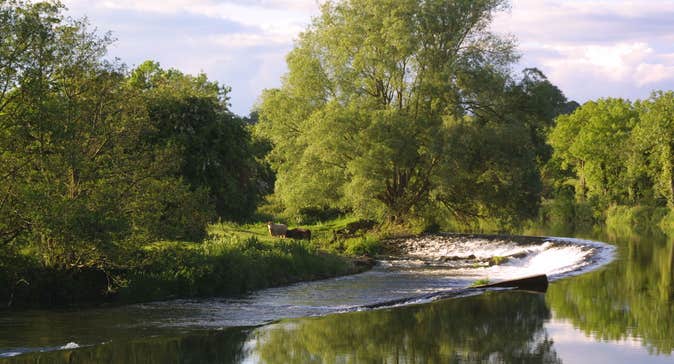 Image of Clashganny Lock along The Barrow Way in Borris in County Carlow