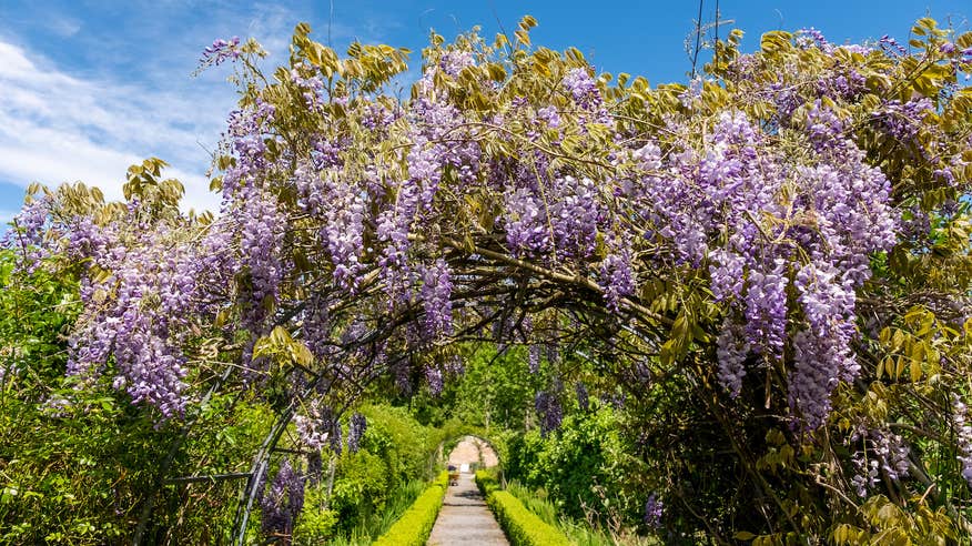 The gardens at Portumna Castle in Co Galway