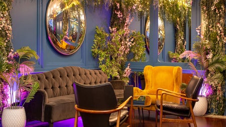 Zozimus Bar interior seating area with soft chairs and plants