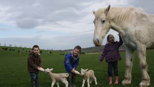 Kids feeding goats and petting a pony on Newgrange Open Farm in County Meath.
