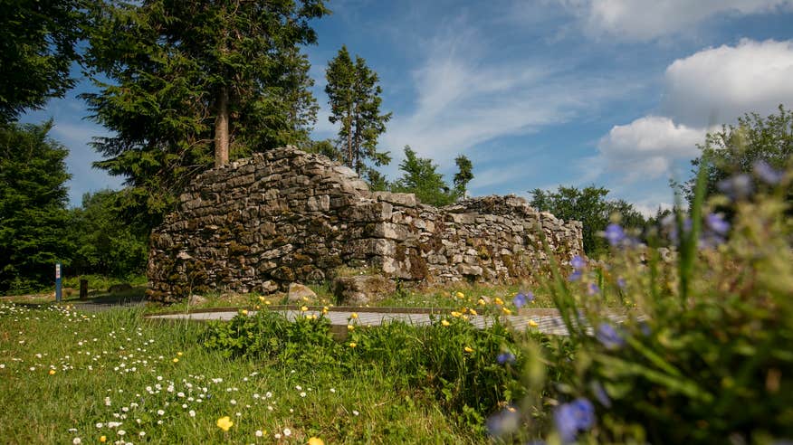 Ruins in Cavan Burren Park