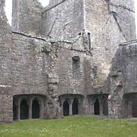 Bective Abbey