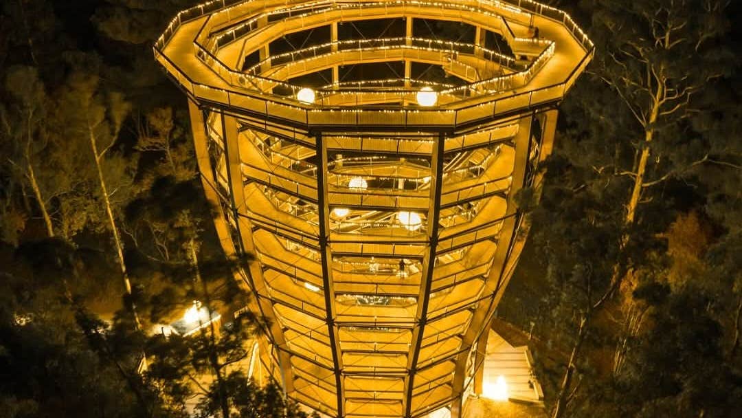 The award winning Treetop Night Lights is a captiating nocturnal adventure that unfolds among the majestic trees of Avondale Forest Park.