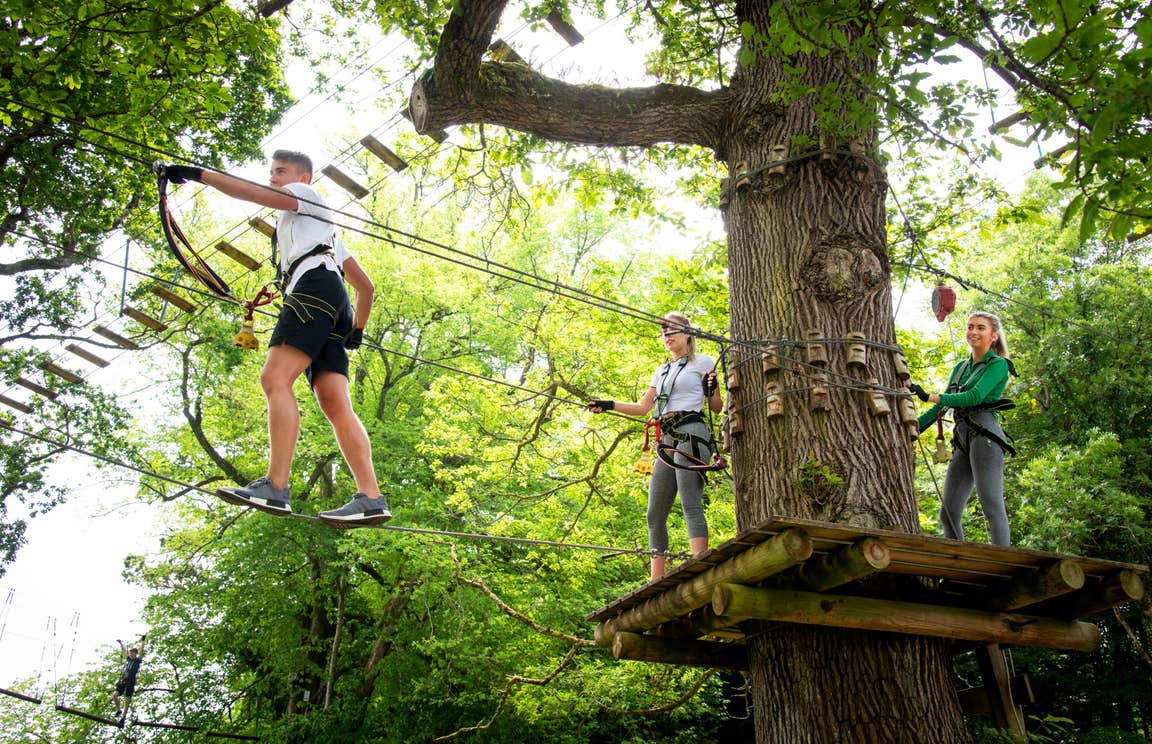 People wearing safety gear walking across ropes at Lough Key Forest and Activity Park, Roscommon