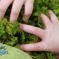 Awaken your sense of wonder as you explore nature with your child. With winter-themed nature activities in the fresh winter air, Families in the Forest is the perfect way for families to take a break during the busy Christmas season.