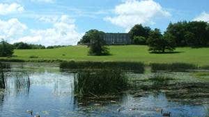 Curraghchase Forest Park
