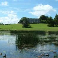 Curraghchase Forest Park