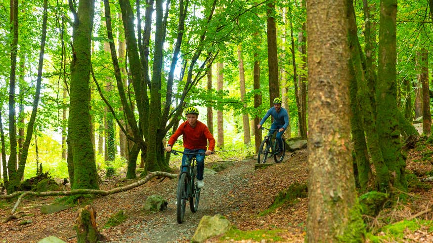 People cycling the Ballyhoura Mountain Bike Trails in County Limerick