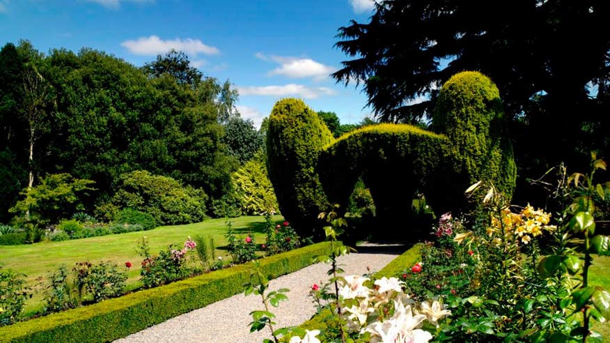 Flowers and topiary in Altamont Gardens in County Carlow