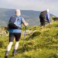 The South Leinster Way