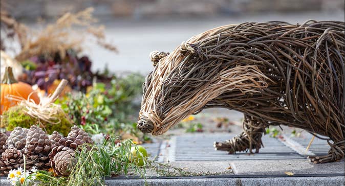 A giant woven willow badger surrounded by flowers and greenery at Clonmel Applefest, reflecting the festival’s playful connection with art, nature and the outdoors.