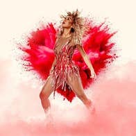 What's Love Got To Do With It? Tina Turner Tribute