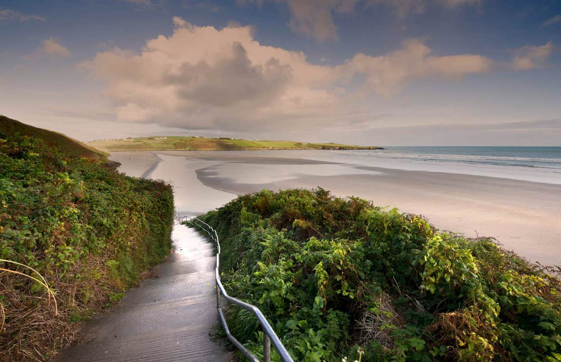 Concrete walkway heading down to Inchydoney beach with bright green shrubs on each side of it.