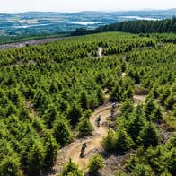 An aerial view of mountain bikers on a trail surrounded by trees