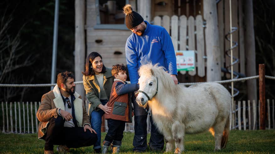 A family petting a horse at Leahy's Open Farm in Midleton, County Cork